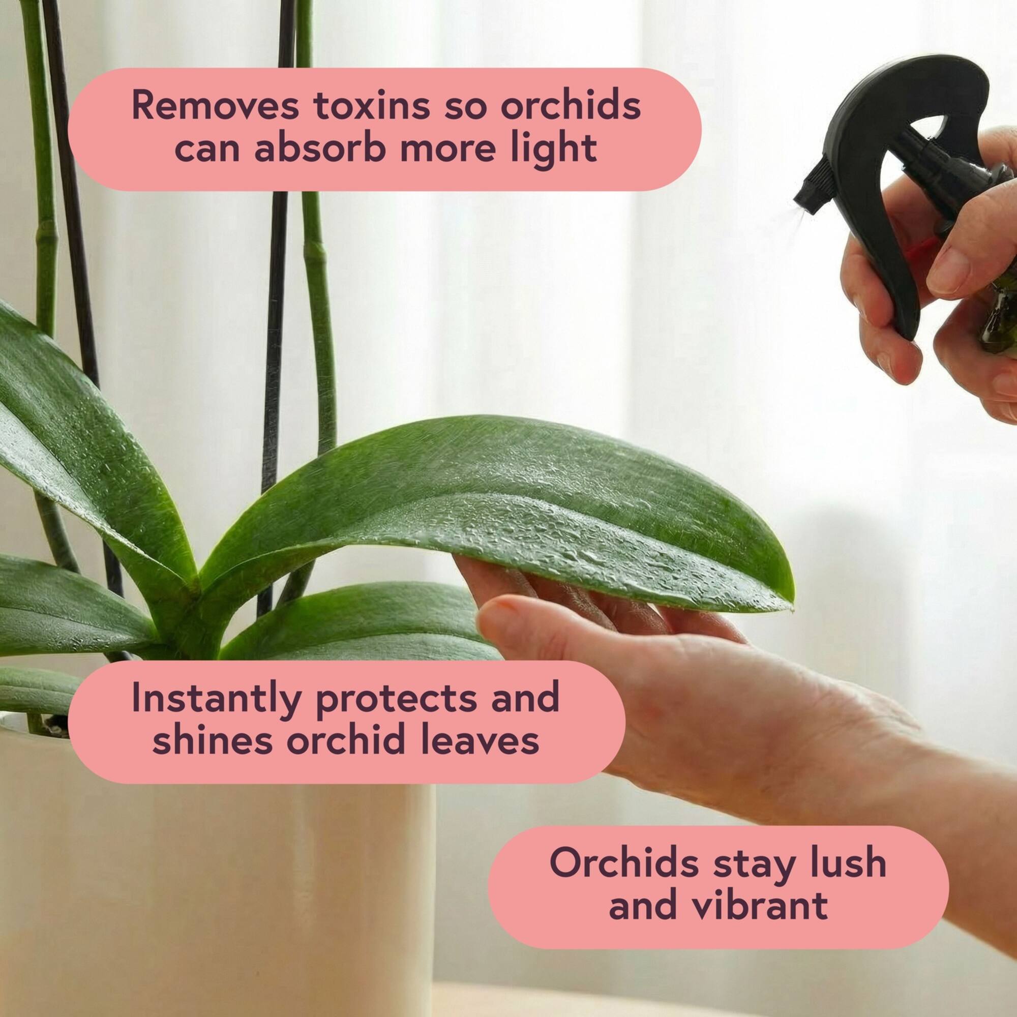 We The Wild™ Orchid Care Essentials Kit